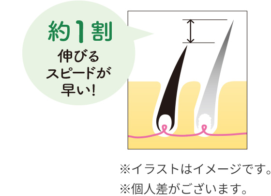 約1割伸びるスピードが早い！