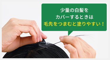 少量の白髪をカバーするときは毛先をつまむと塗りやすい！