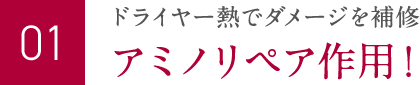 ドライヤー熱でダメージを補修 アミノリペア作用！