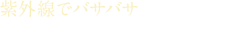 紫外線でバサバサになっていた私の髪がこんなにサラツヤに！