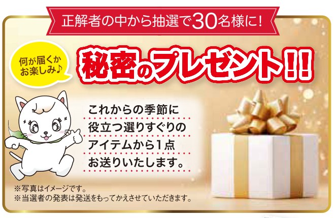 正解者の中から抽選でプレゼント!