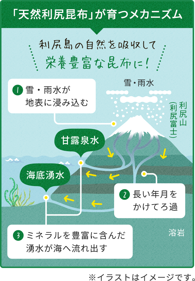 利尻ヘアカラー 無添加化粧品 自然派clubサスティ