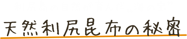 利尻島の自然が育んだ “海の宝” 天然利尻昆布の秘密