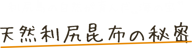 利尻ヘアカラー 無添加化粧品 自然派clubサスティ