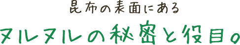 昆布の表面にあるヌルヌルの秘密と役目。