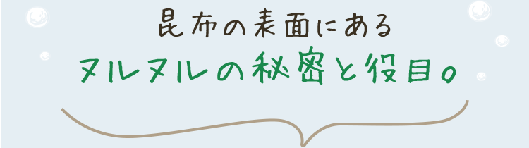 利尻ヘアカラー 無添加化粧品 自然派clubサスティ