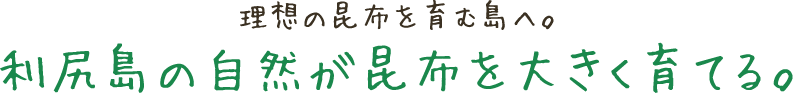 理想の昆布を育む島へ。利尻島の自然が昆布を大きく育てる。